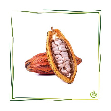 Kakaobutter Pellets desodoriert